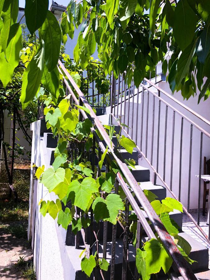 Renata Holiday Apartments Ulcinj Eksteriør bilde