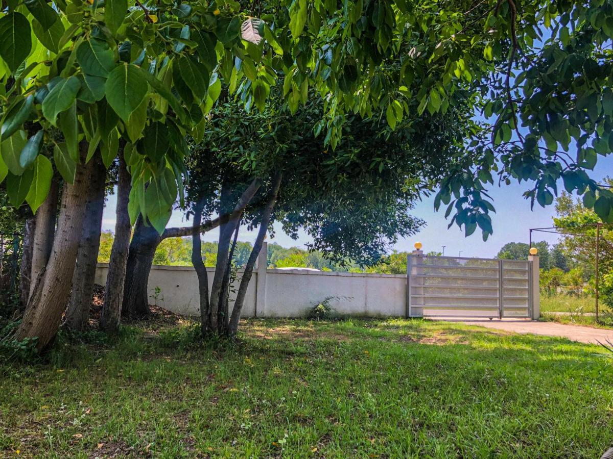 Renata Holiday Apartments Ulcinj Eksteriør bilde