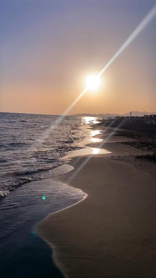 Renata Holiday Apartments Ulcinj Eksteriør bilde